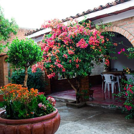 Villa Flores, Casa En El Centro De 马斯科塔 外观 照片