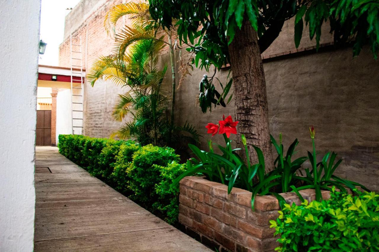 Villa Flores, Casa En El Centro De 马斯科塔 外观 照片