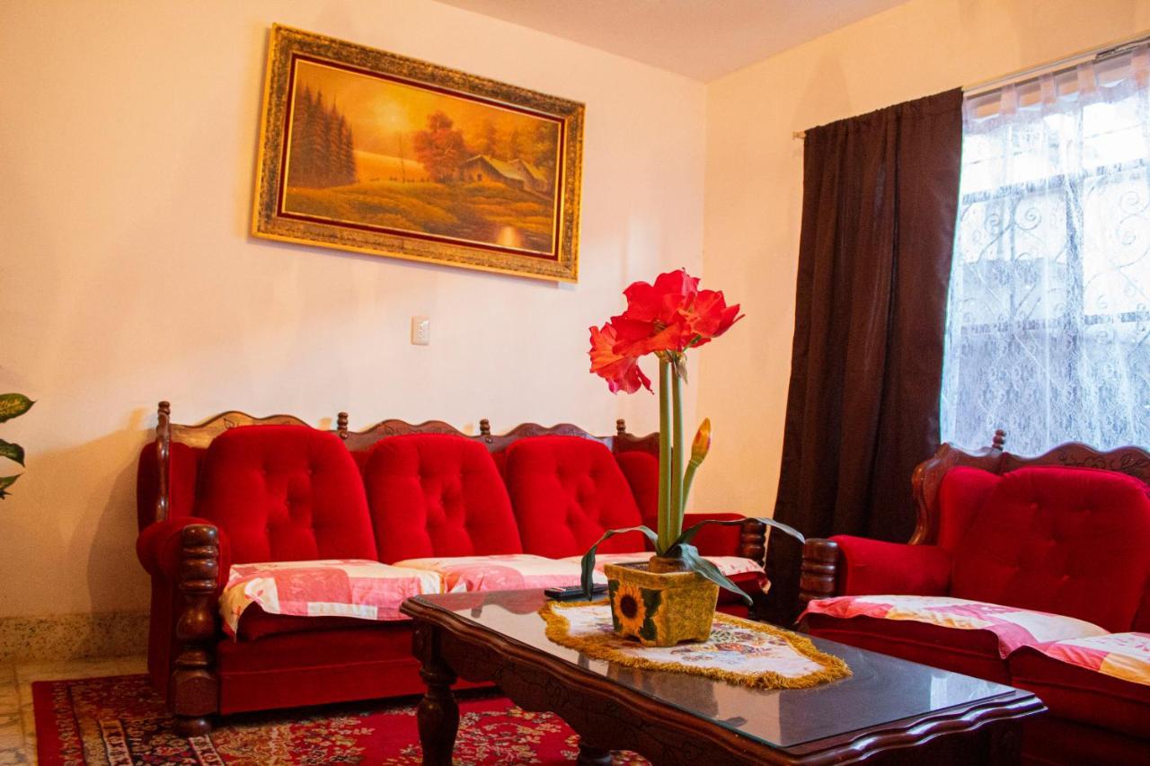 Villa Flores, Casa En El Centro De 马斯科塔 外观 照片