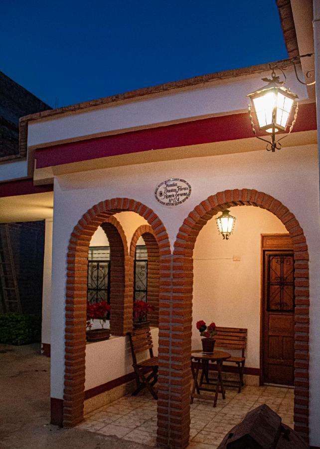 Villa Flores, Casa En El Centro De 马斯科塔 外观 照片