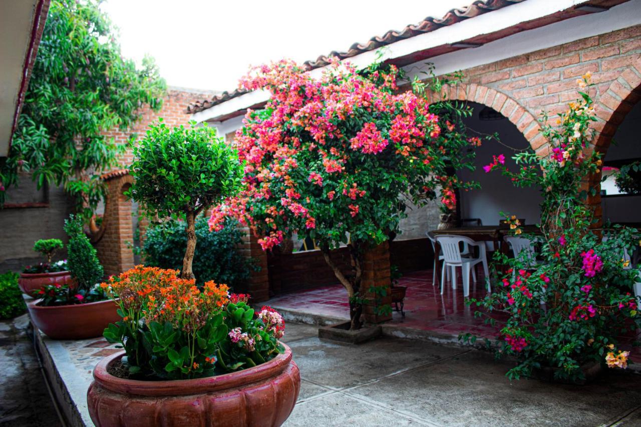 Villa Flores, Casa En El Centro De 马斯科塔 外观 照片