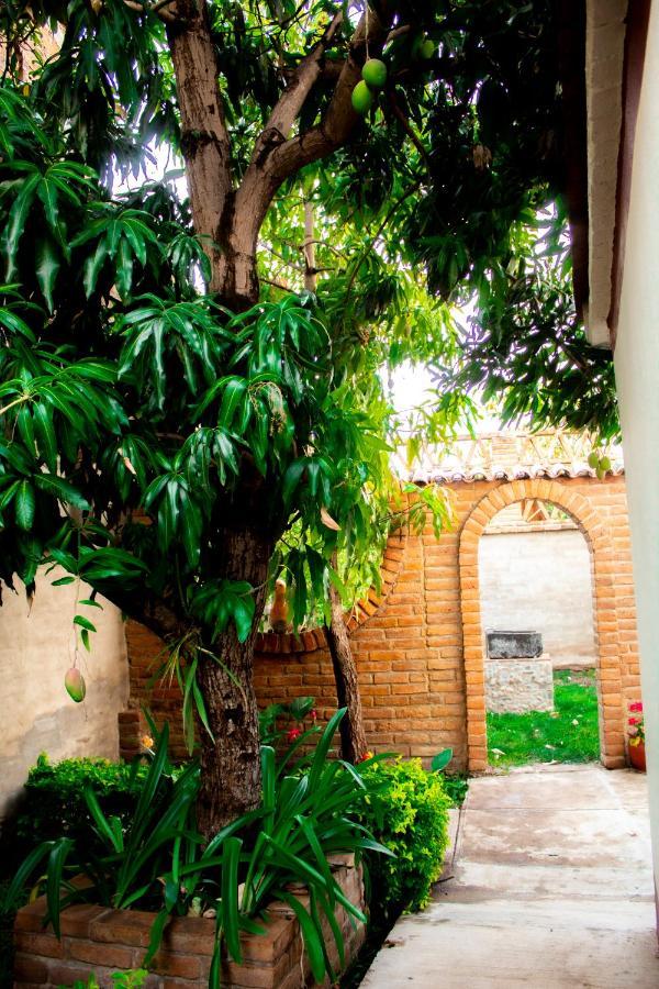 Villa Flores, Casa En El Centro De 马斯科塔 外观 照片
